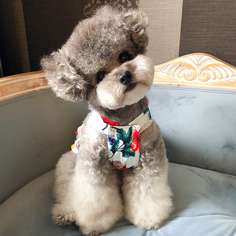 750x750-二脚衣---四色蝴蝶裙_22