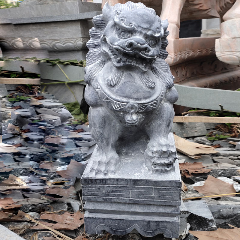 青狮子40高550元1-1