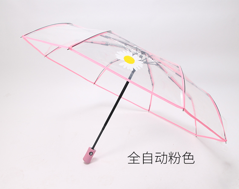 小雏菊伞_08.jpg