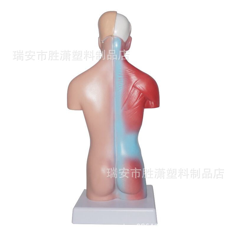 e777663e46ff205accf449d1eb1c9d