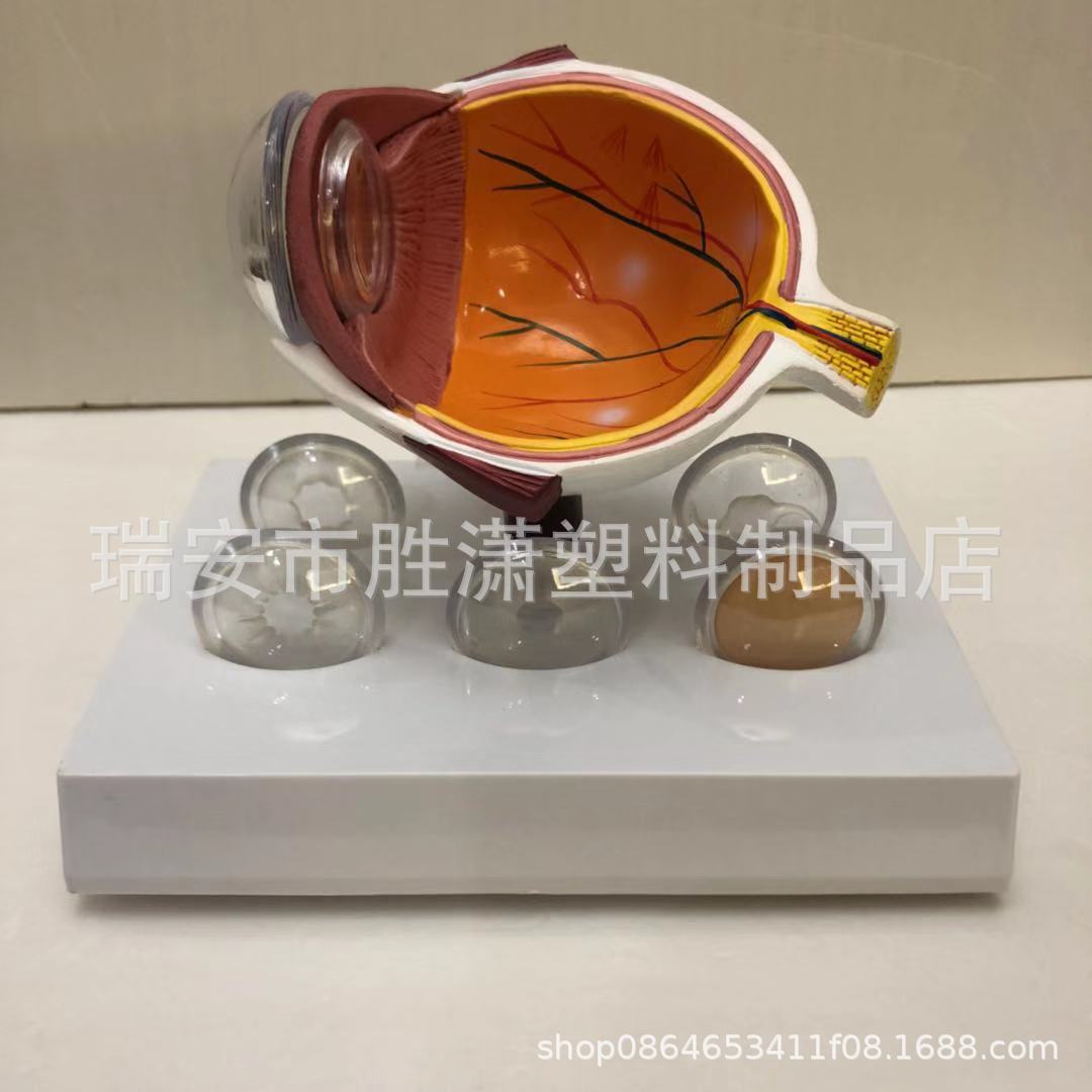 fc8919e6bd38e5322d105e6f359528