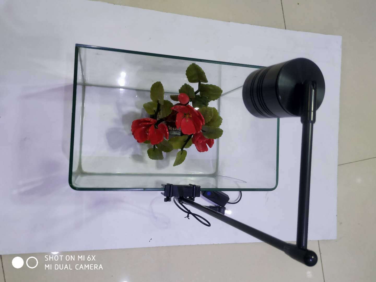 微信图片_20200411205255