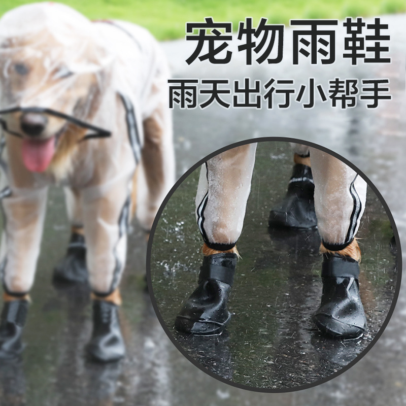主图.jpg