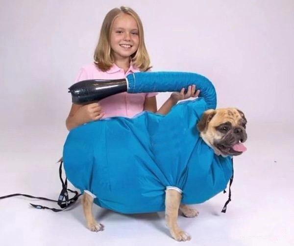 微信图片_20200904204743