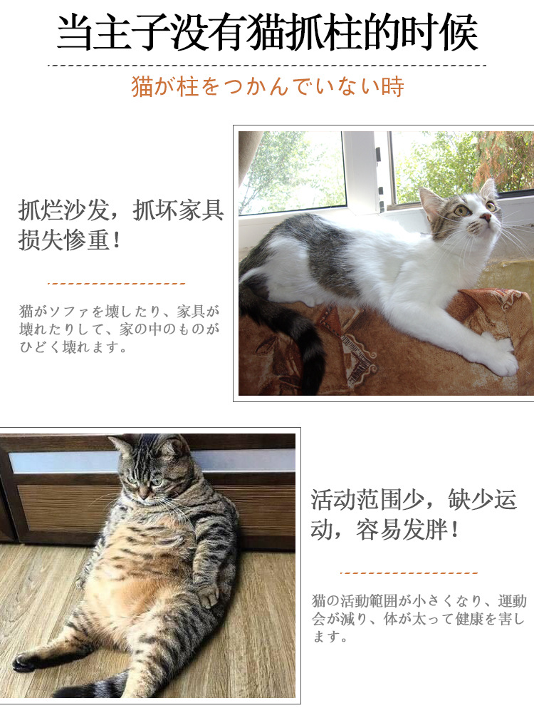 详情3.jpg