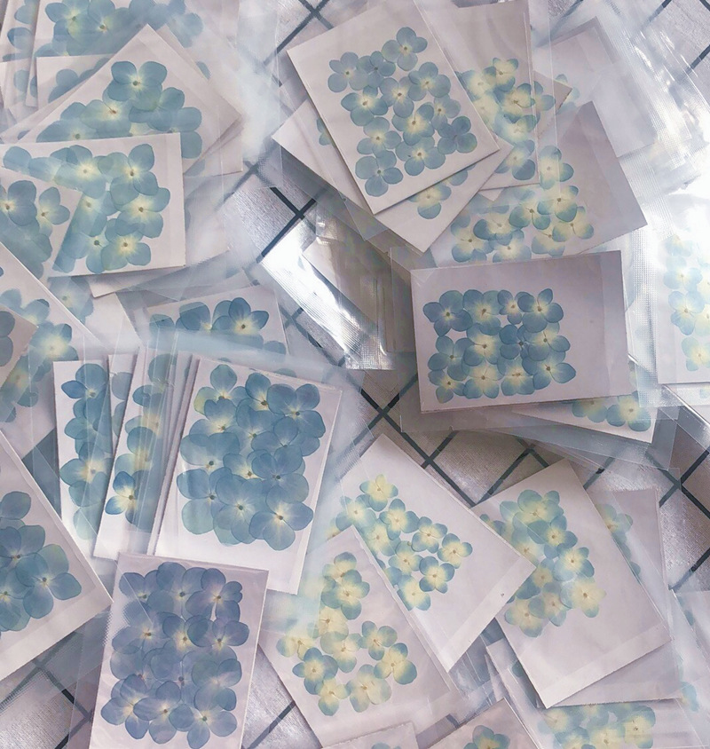 0C1862A85EE101374413AD3F6F3861