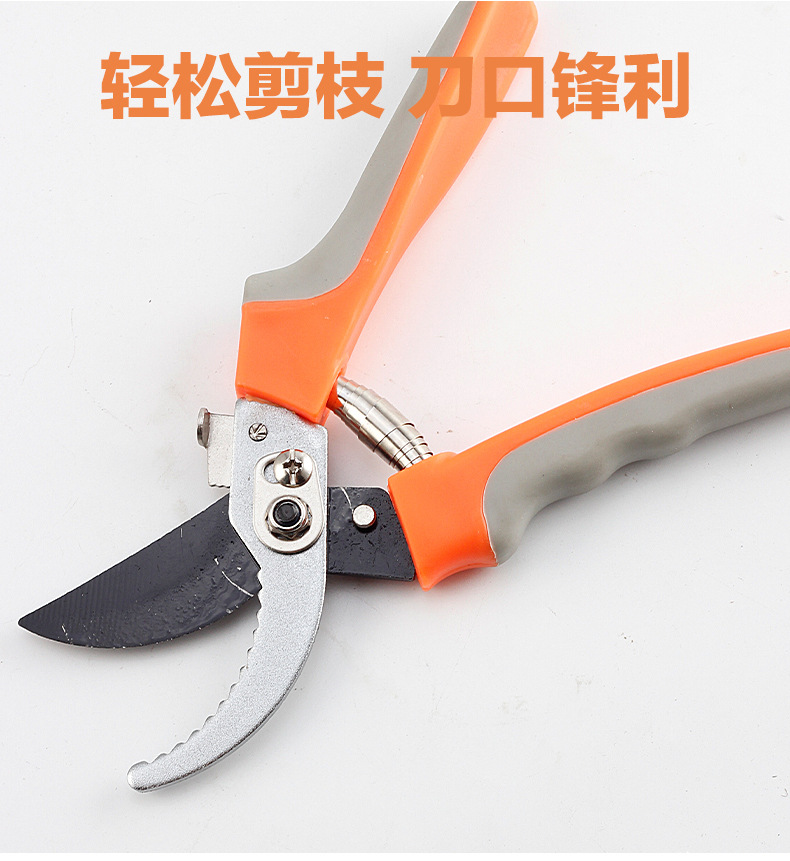 园林剪刀1_03.jpg