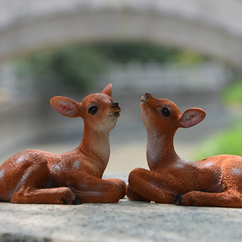 照片 630_副本.jpg