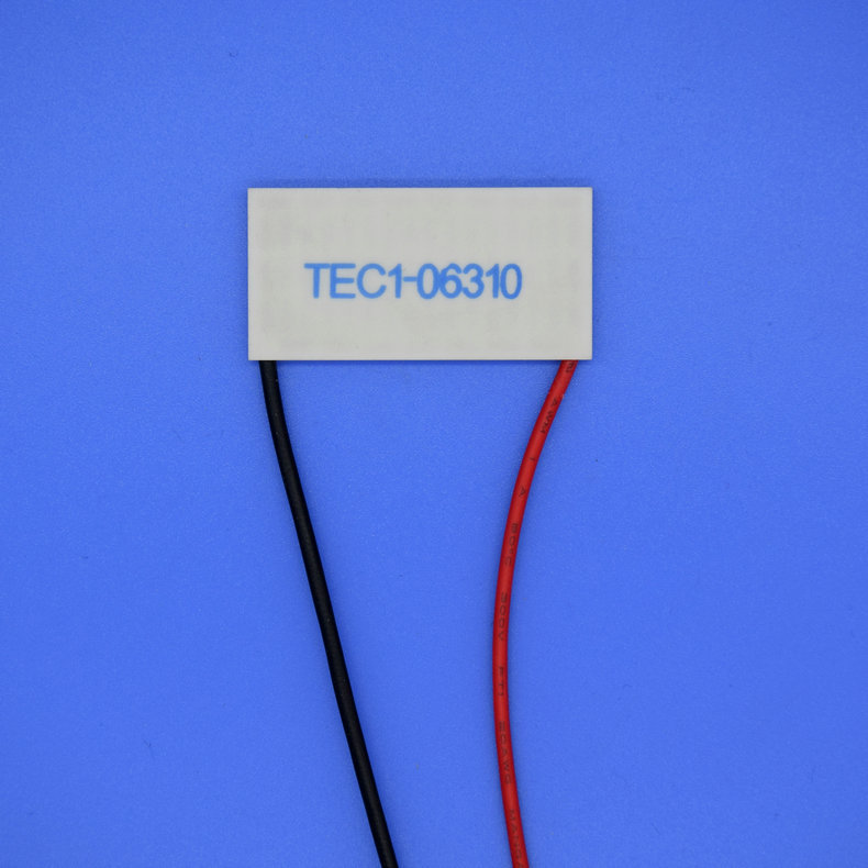 TEC1-06310图1