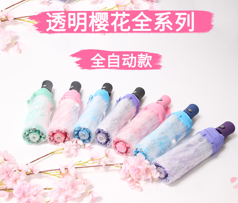 樱花_01