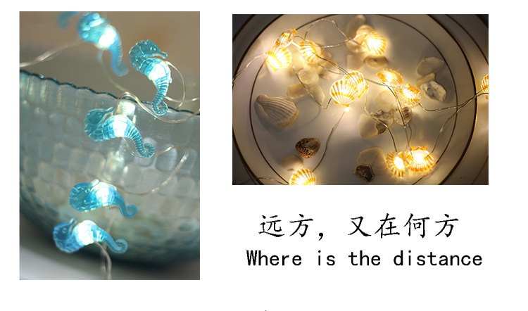 海洋_04.jpg