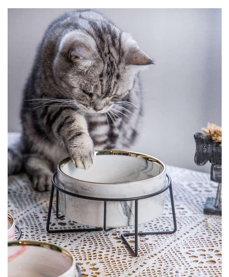 大理石铁架猫碗_16.jpg
