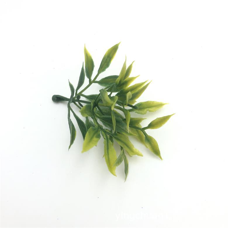 2020-06-03 170956.jpg