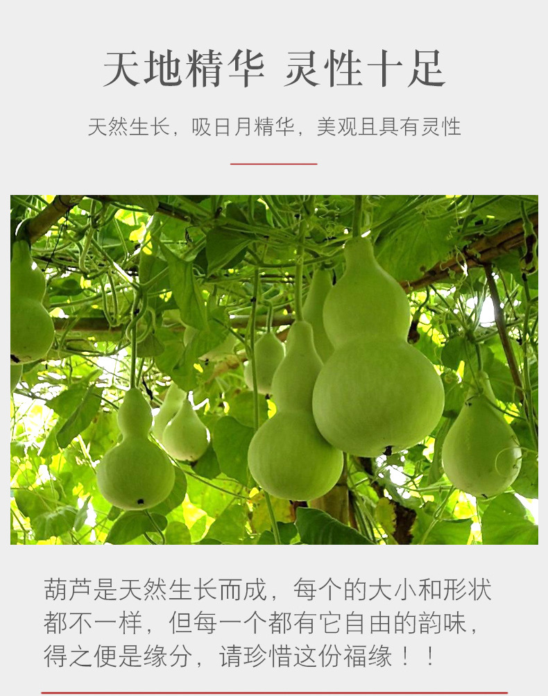 0e3dd149393bad79b493afba2d916c