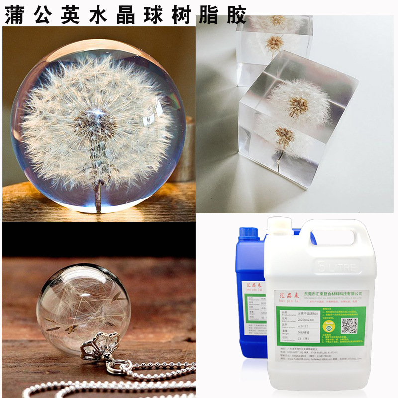 厂家直销蒲公英干花水晶胶 制作植物干花标本蒲公英镇