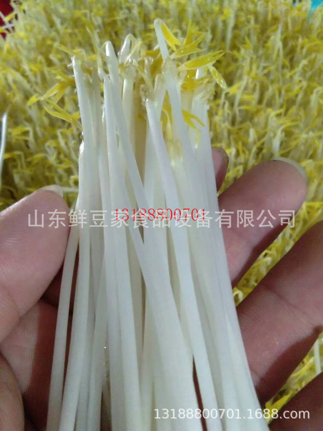 3681a59147556afe7a0a9e154ff778