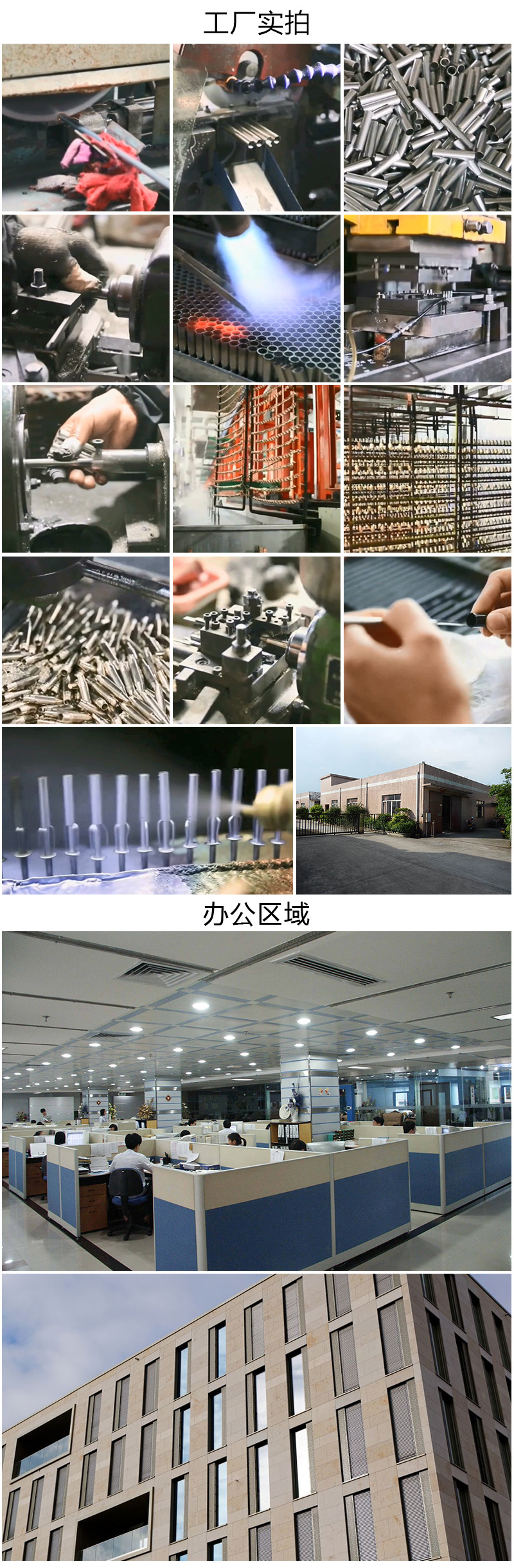 鼎文详情