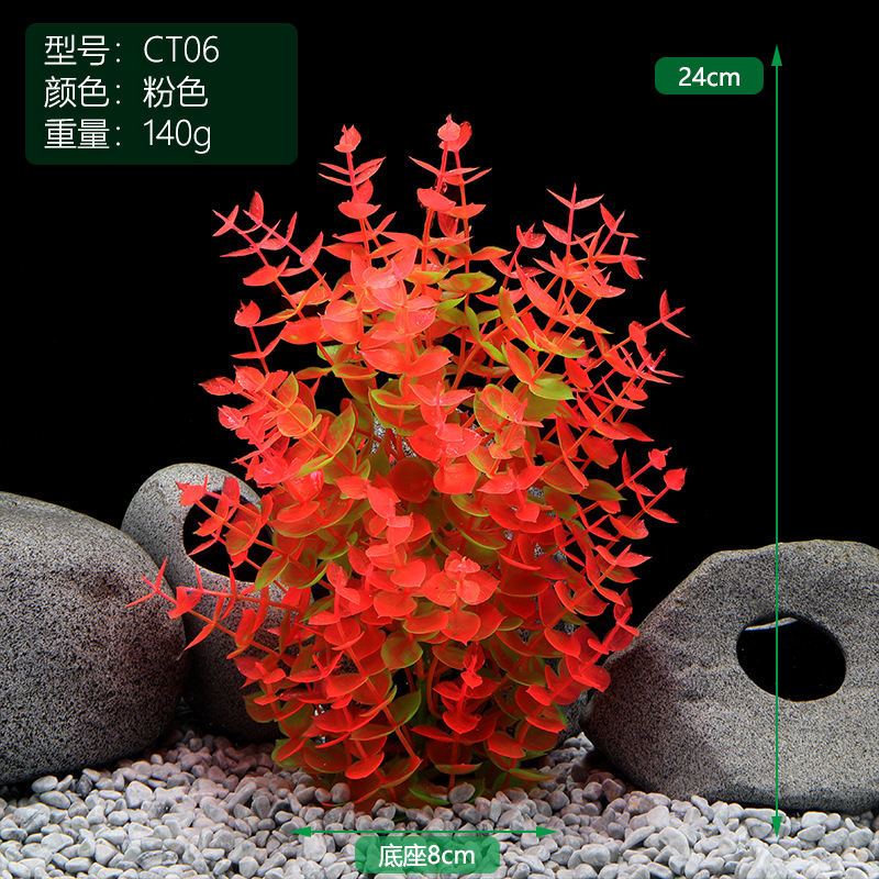 CT006粉色.jpg