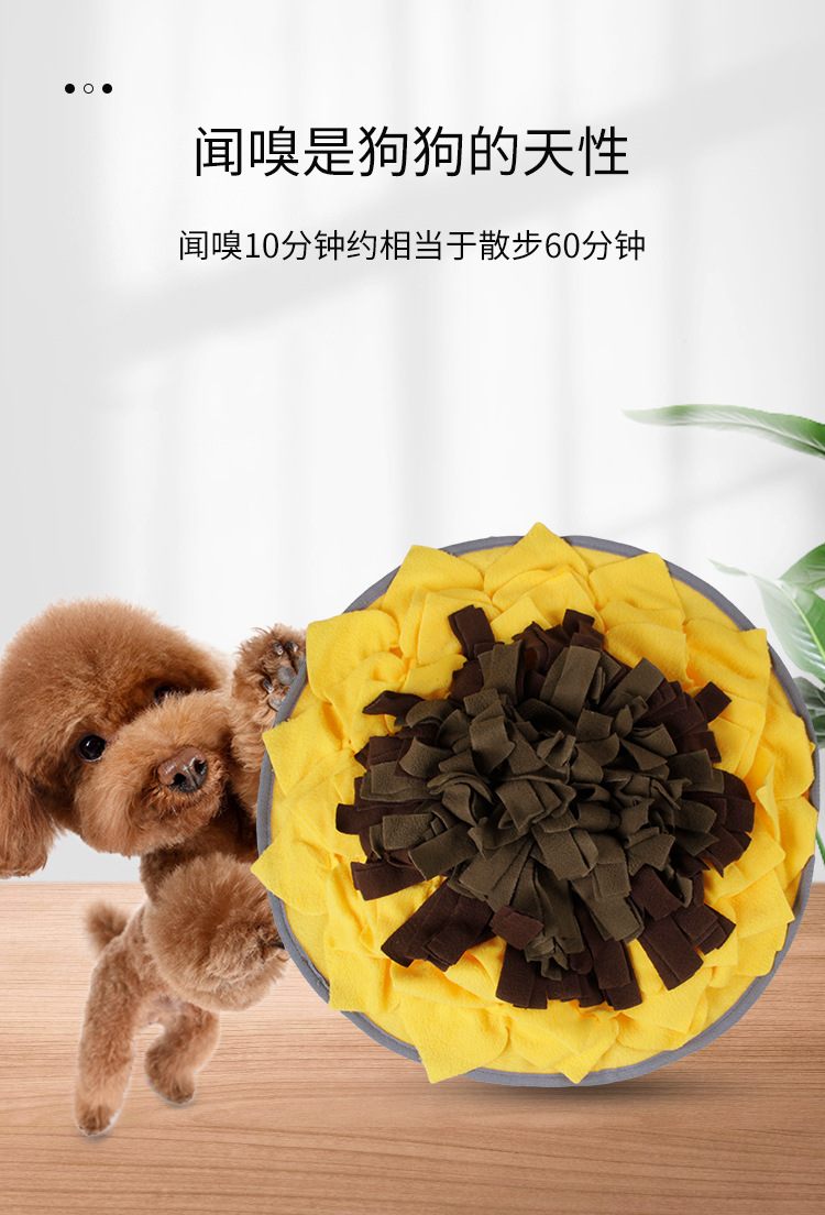 闻嗅垫-1 (3).jpg