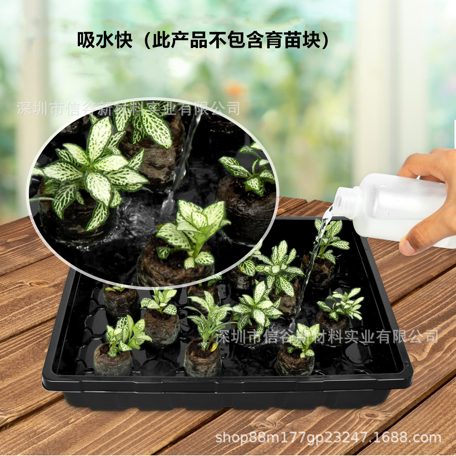 大育苗盘底托主图3_副本