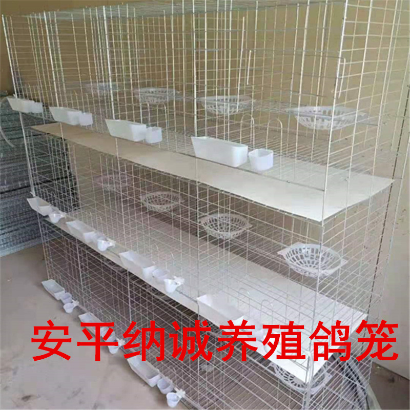 微信图片_20201114114819_副本