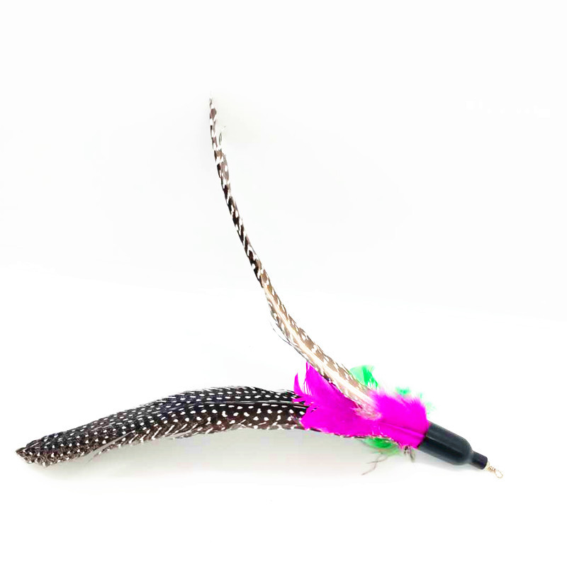 微信图片_20200927173531