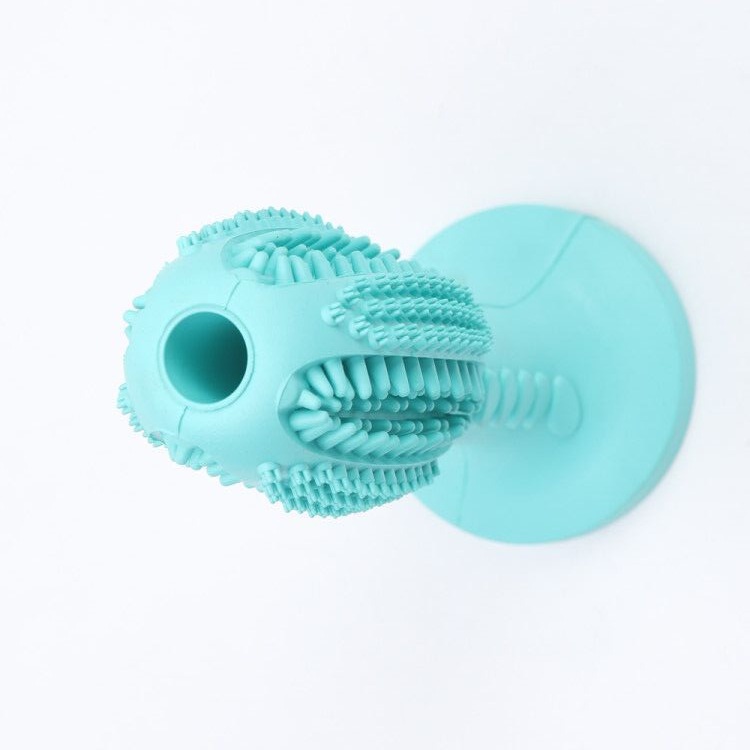 13023874345_625089862