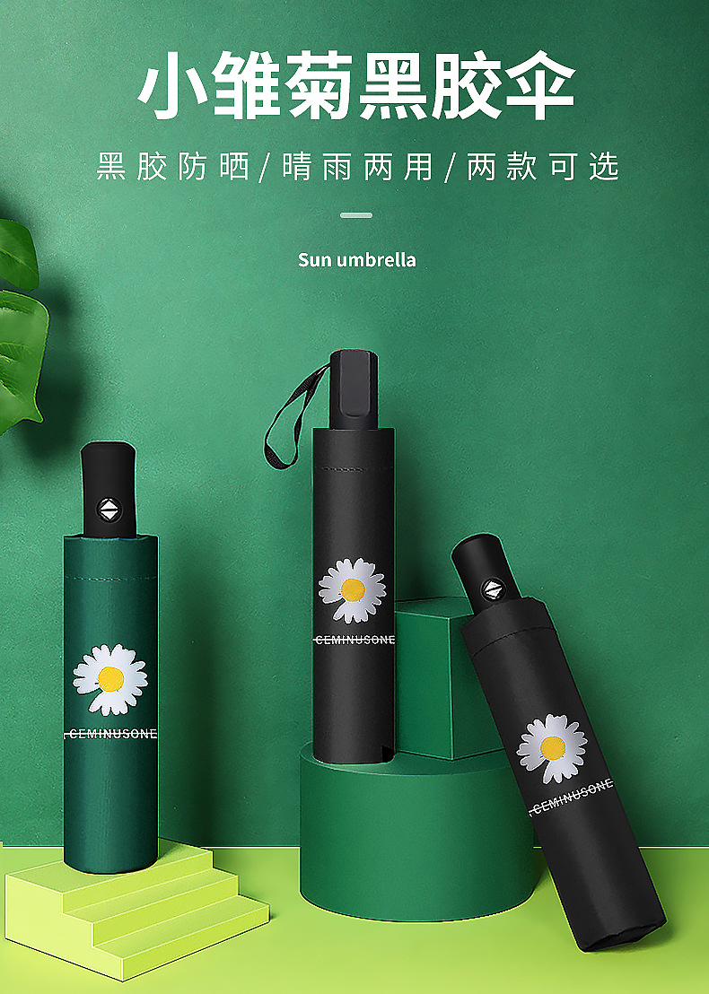 小雏菊内页_01