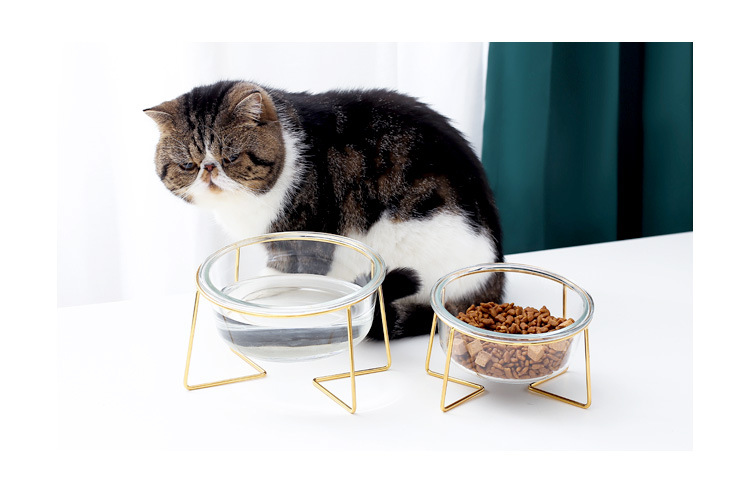 金架玻璃猫碗_02.jpg