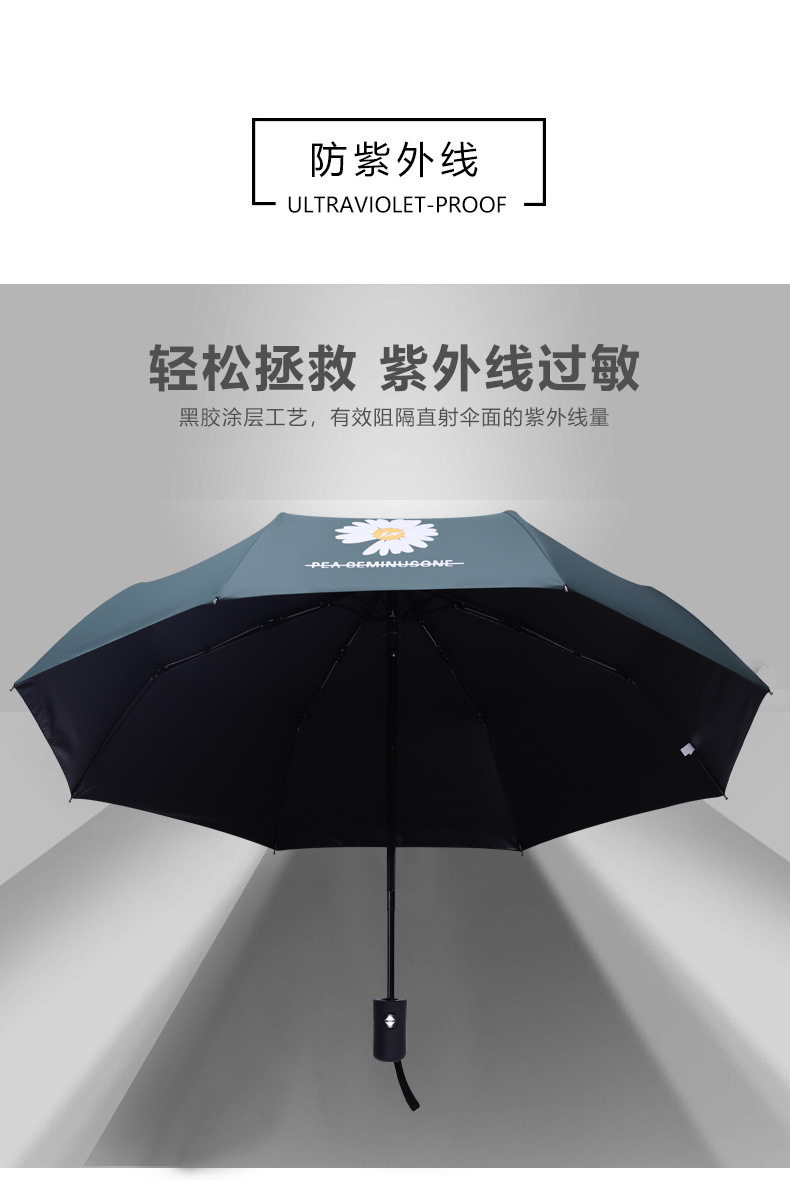 14221203419_1403659387