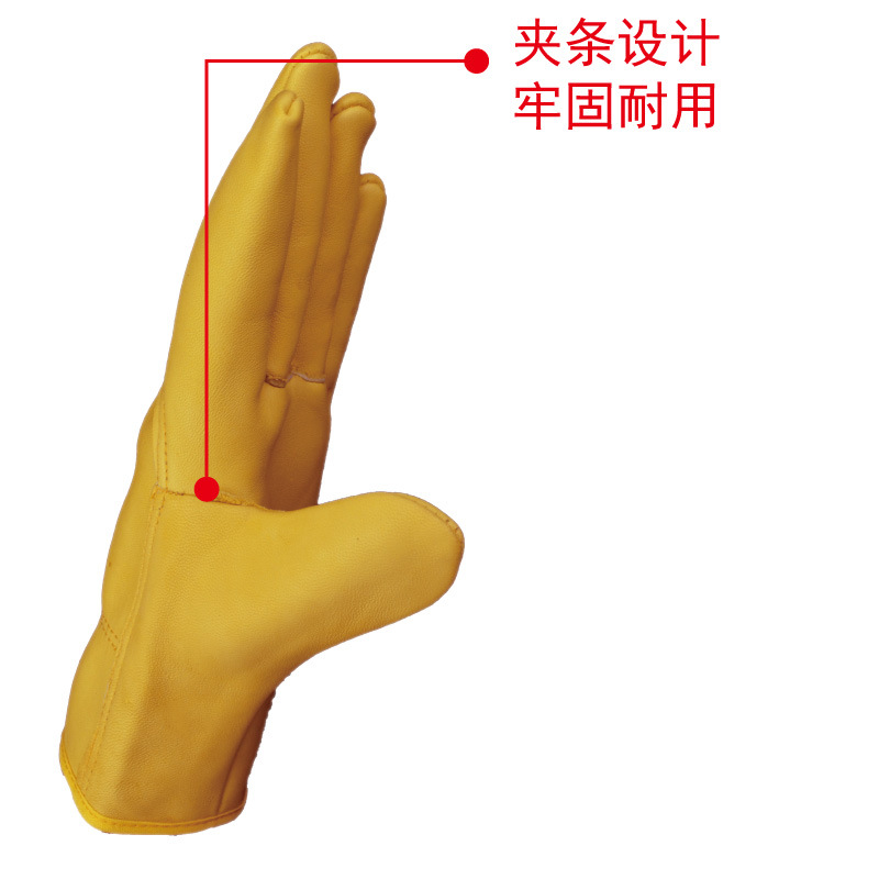 18015_06.jpg
