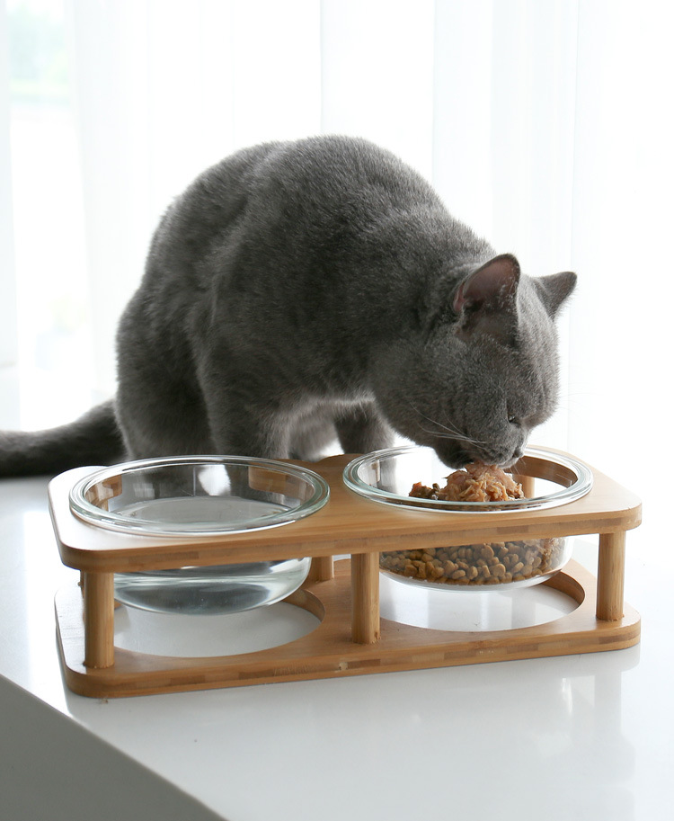 平架玻璃猫碗_08.jpg