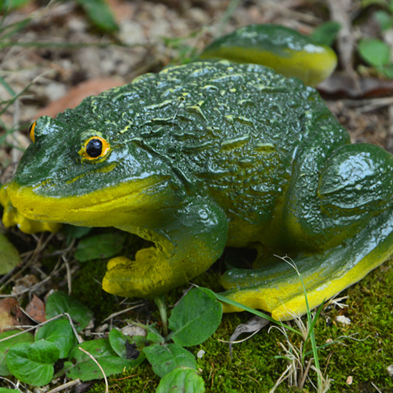 DSC_0005_副本.jpg