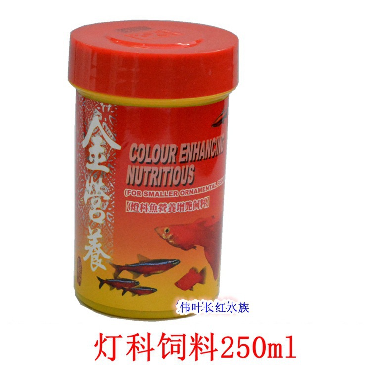 灯科主图 - 副本