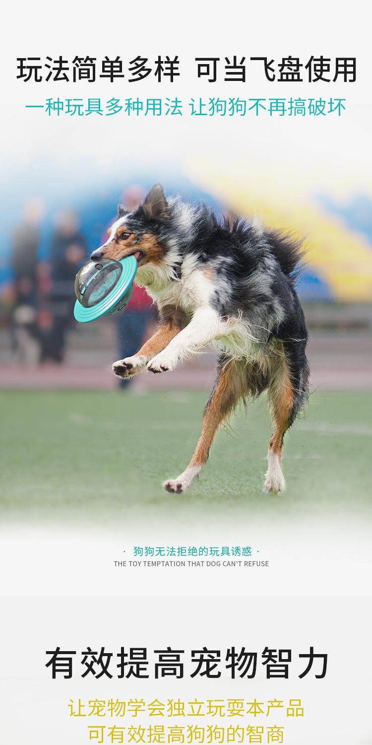 汪星球天猫详情_05