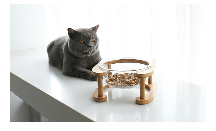 平架玻璃猫碗_03.jpg