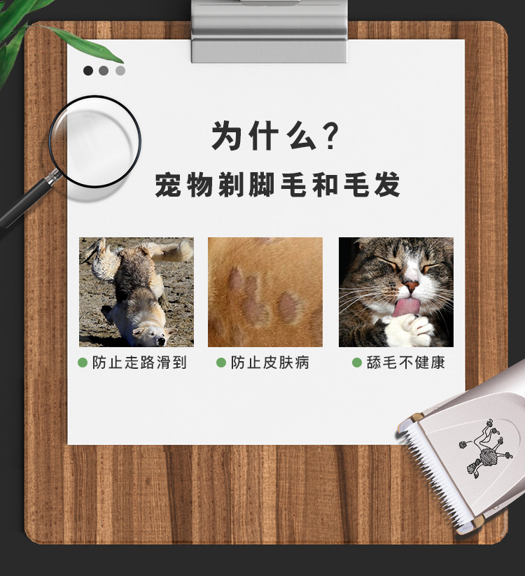 宠物理发器_02