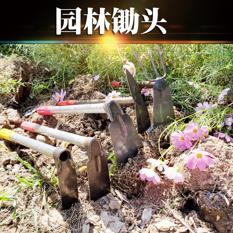 QQ图片20200918171846.jpg
