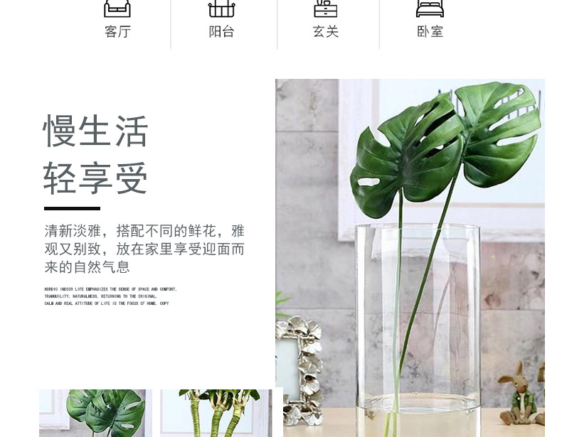 圆柱直筒玻璃花瓶_04