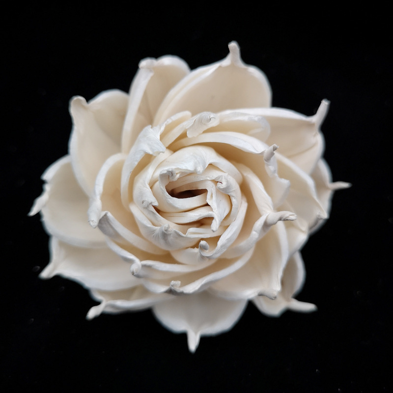 8cm月季花