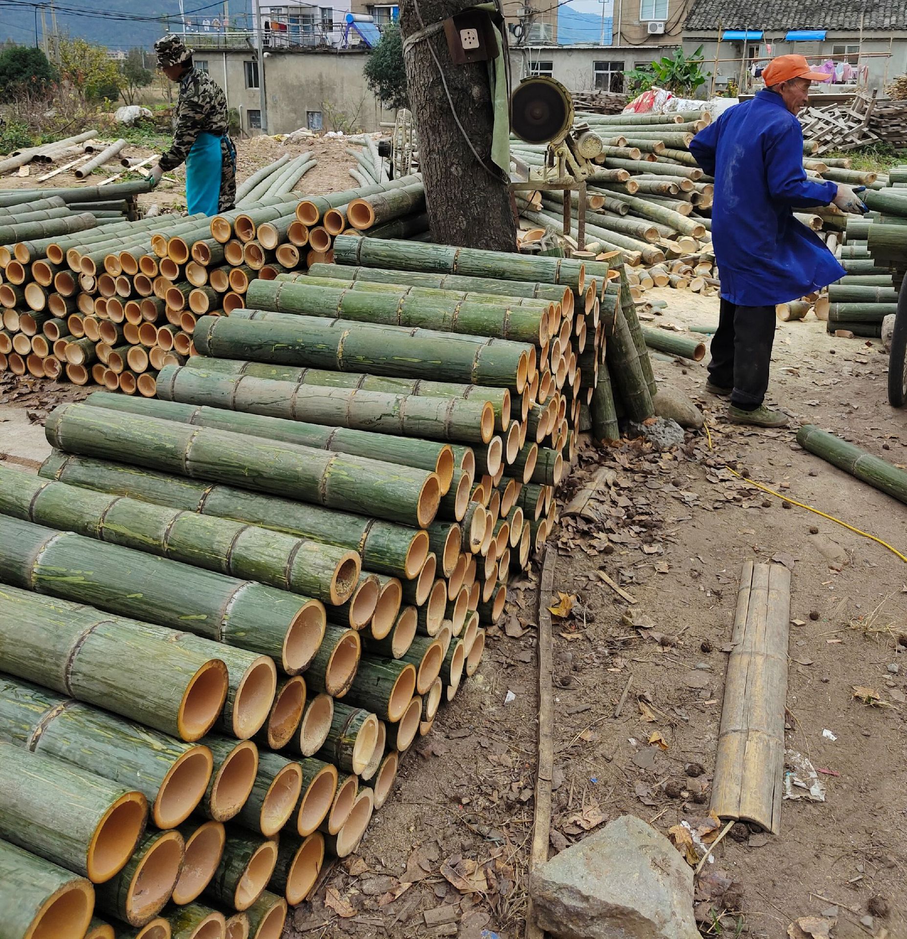 a20fca71b50492c29b83ad8733089a