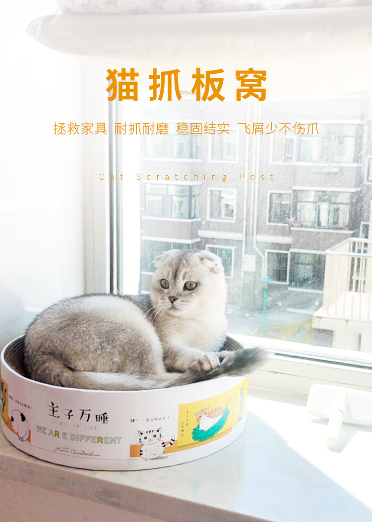 猫抓板窝_01.png