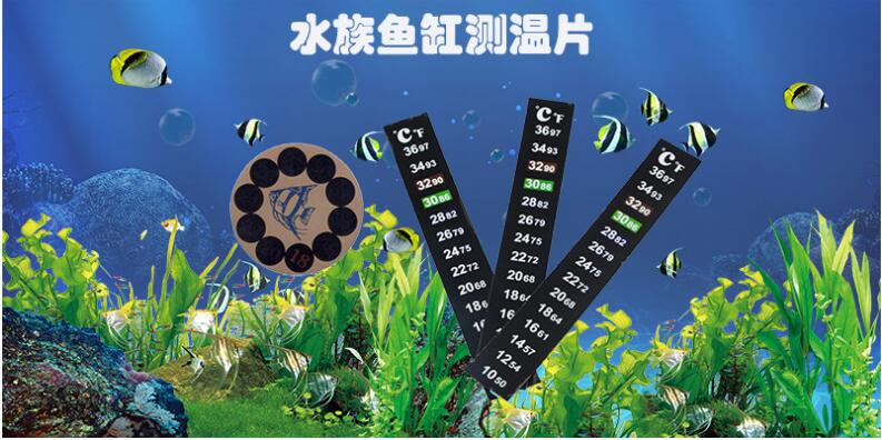 QQ图片20200725102440