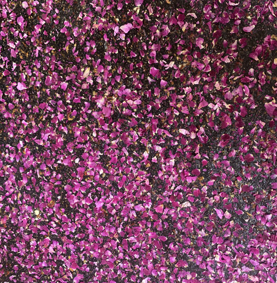 微信图片_202010111130281_副本