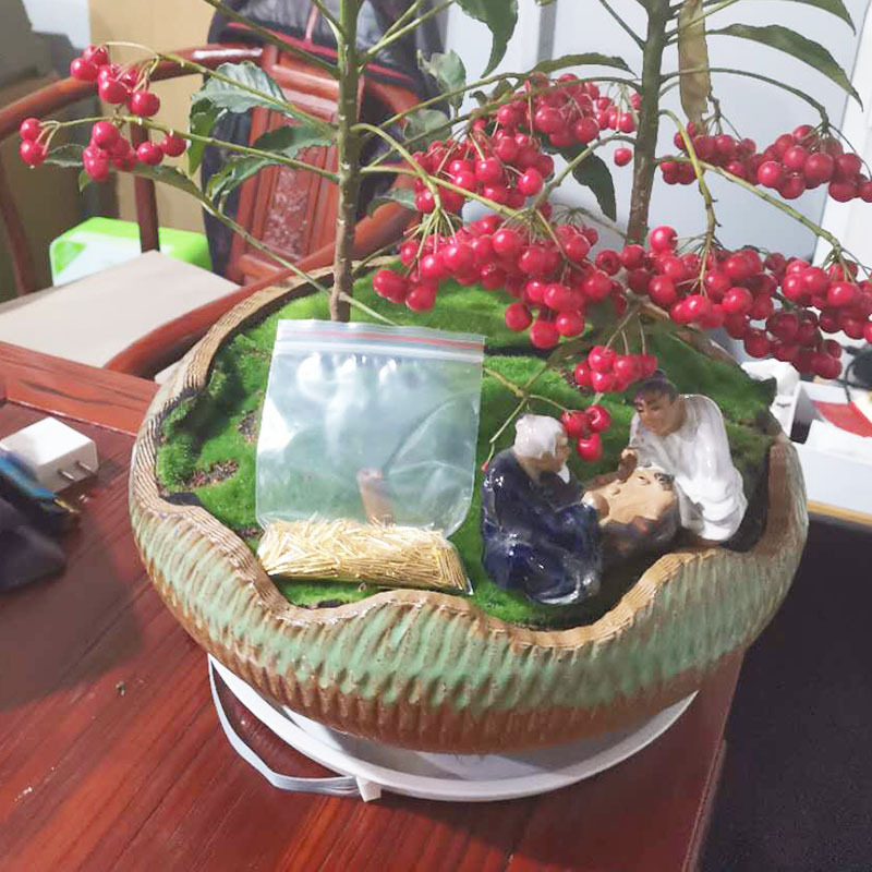 未标题-1_0001_a96420259e85fc3d1be