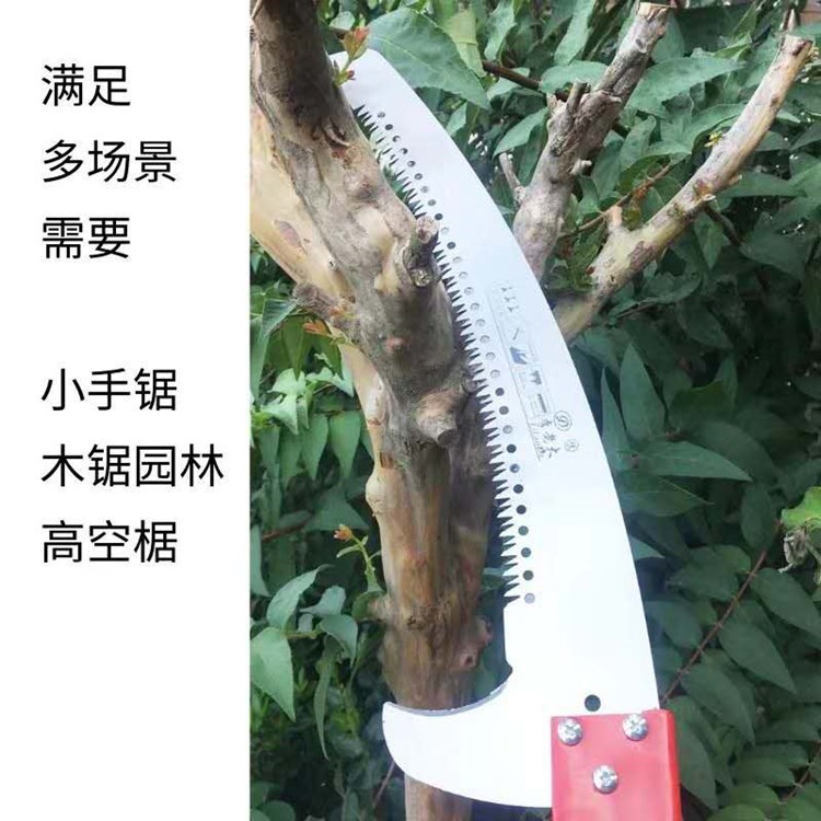 微信图片_20200925133653