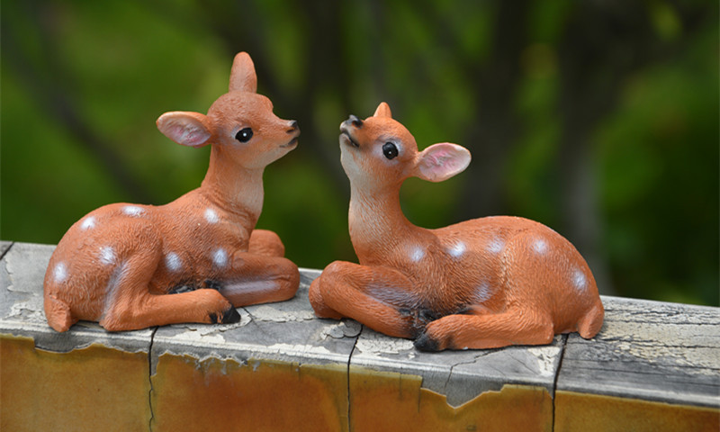 照片 550_副本.jpg