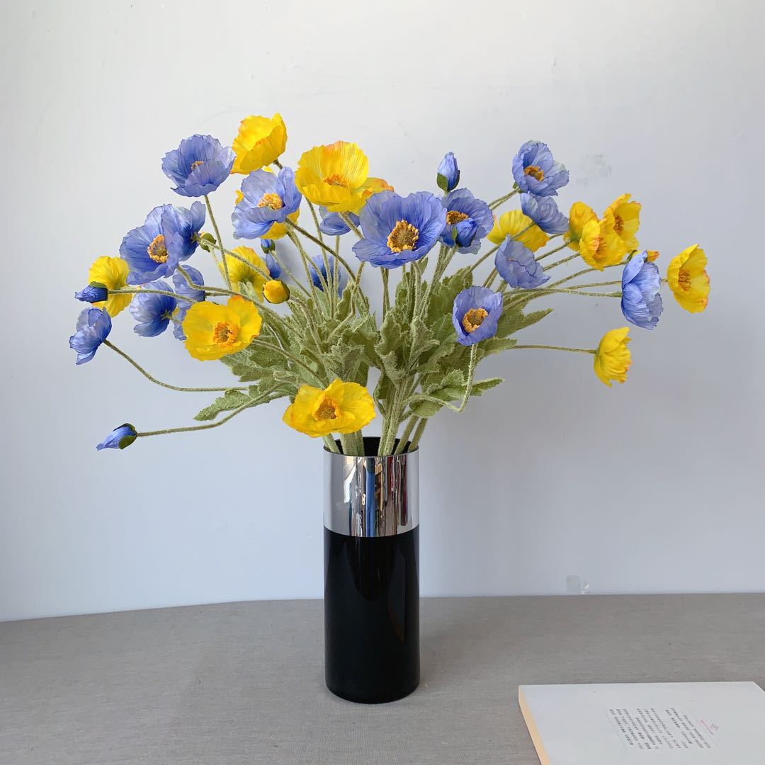 2dff2a3fafe51896098e02f0336a13