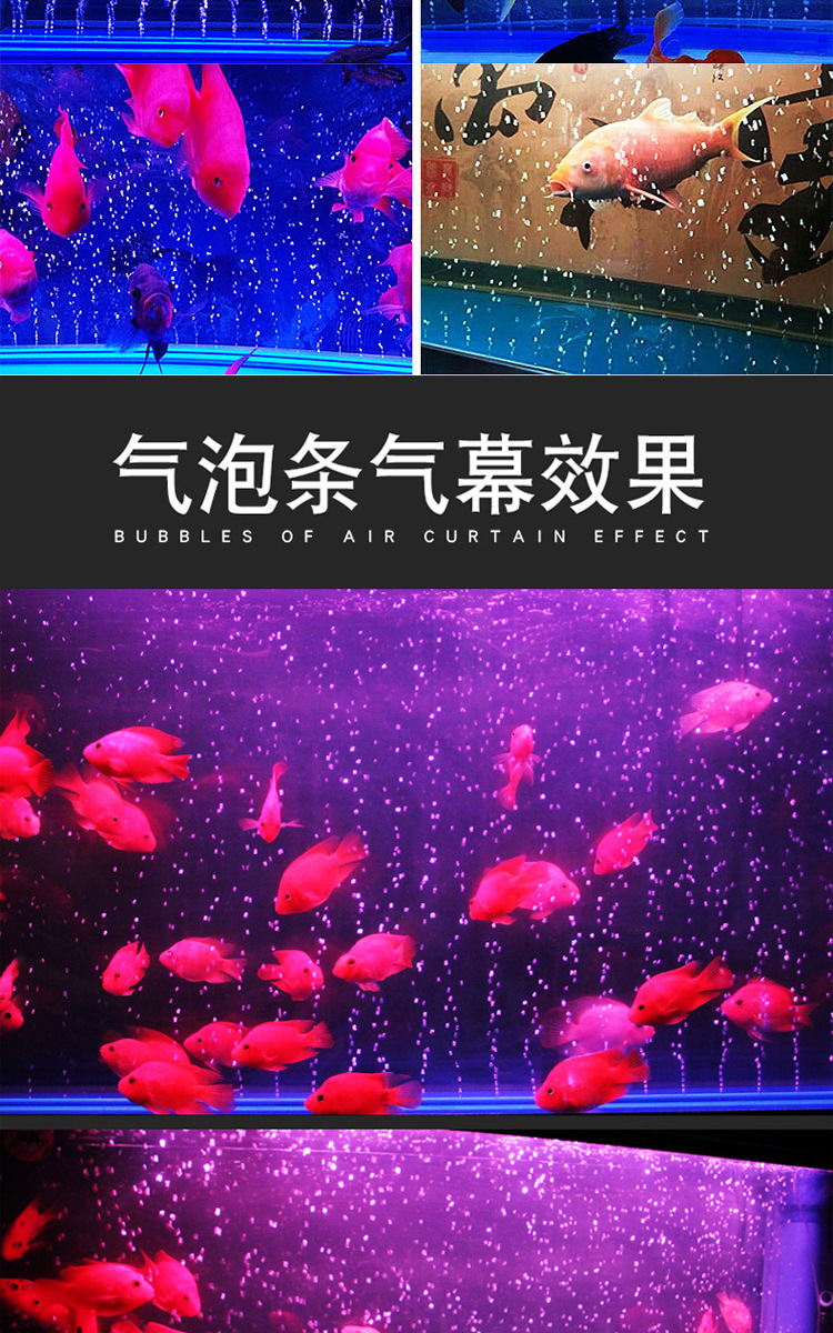 气泡条详情