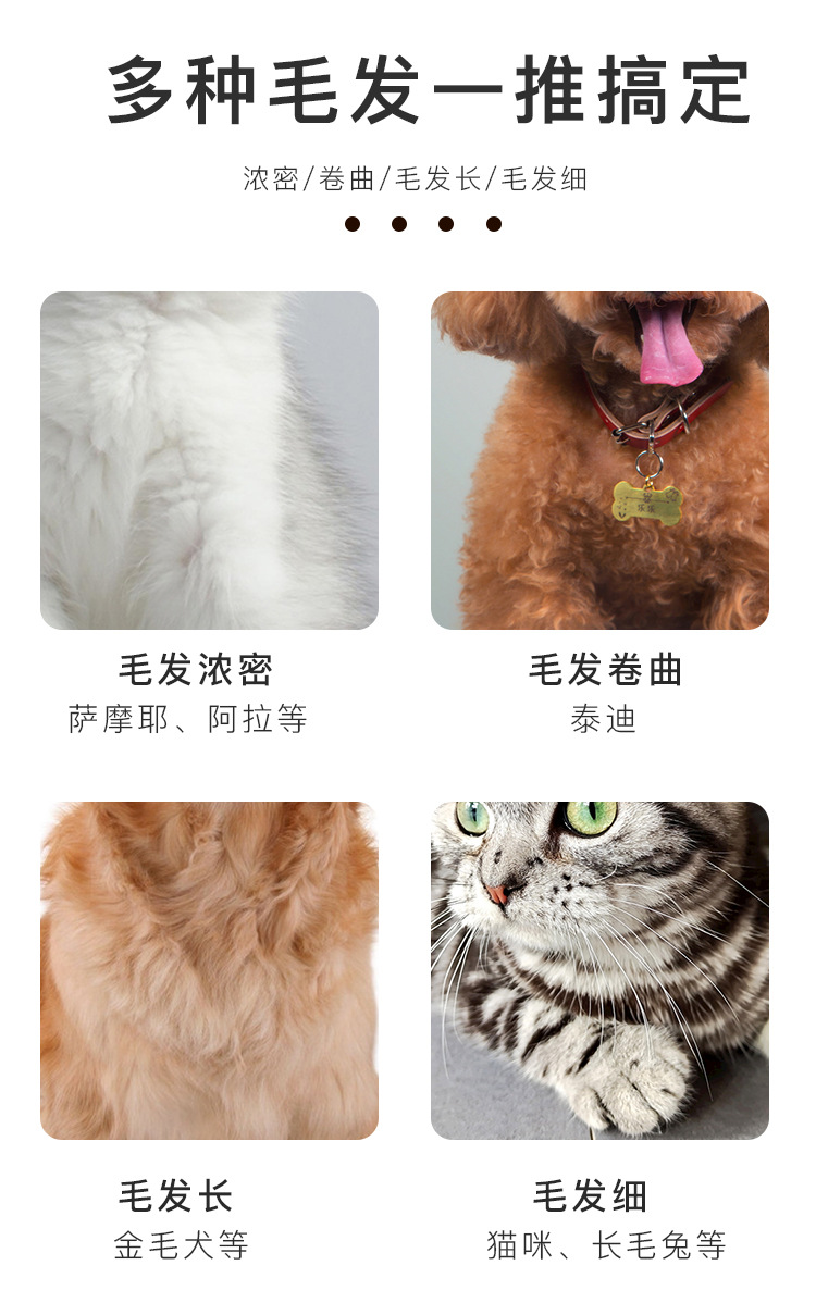 宠物理发器_04